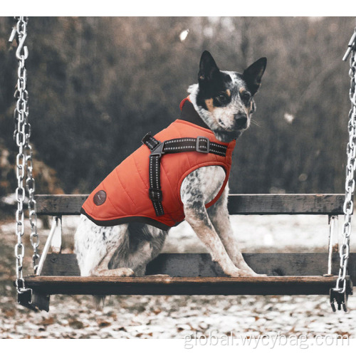 Autumn Winter New Dog Harness Clothes Vest